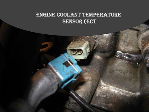 Engine coolant temperature sensor 
