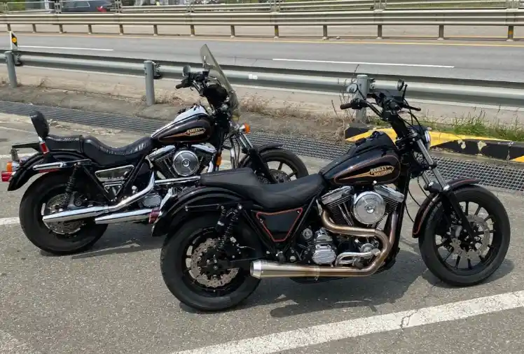 Harley FXR 