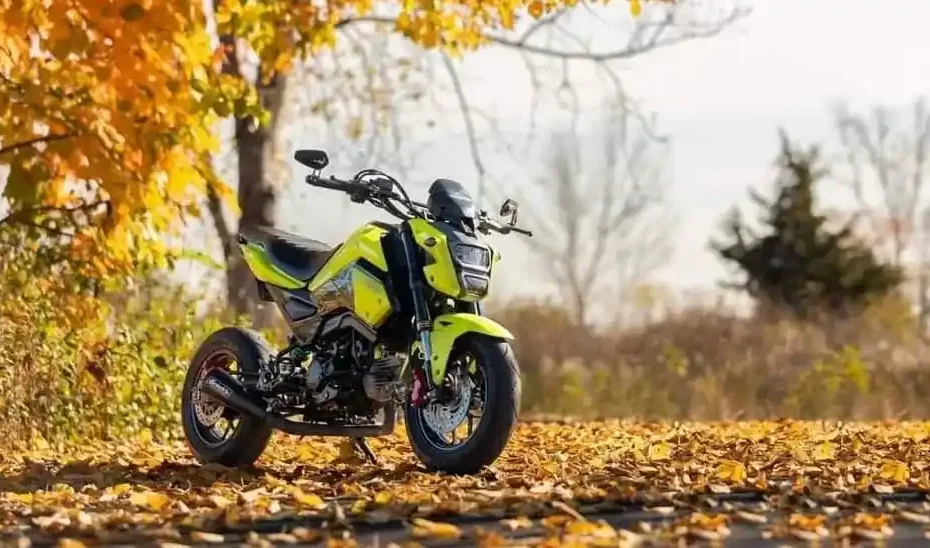 Do You Need a Motorcycle License for a Honda Grom