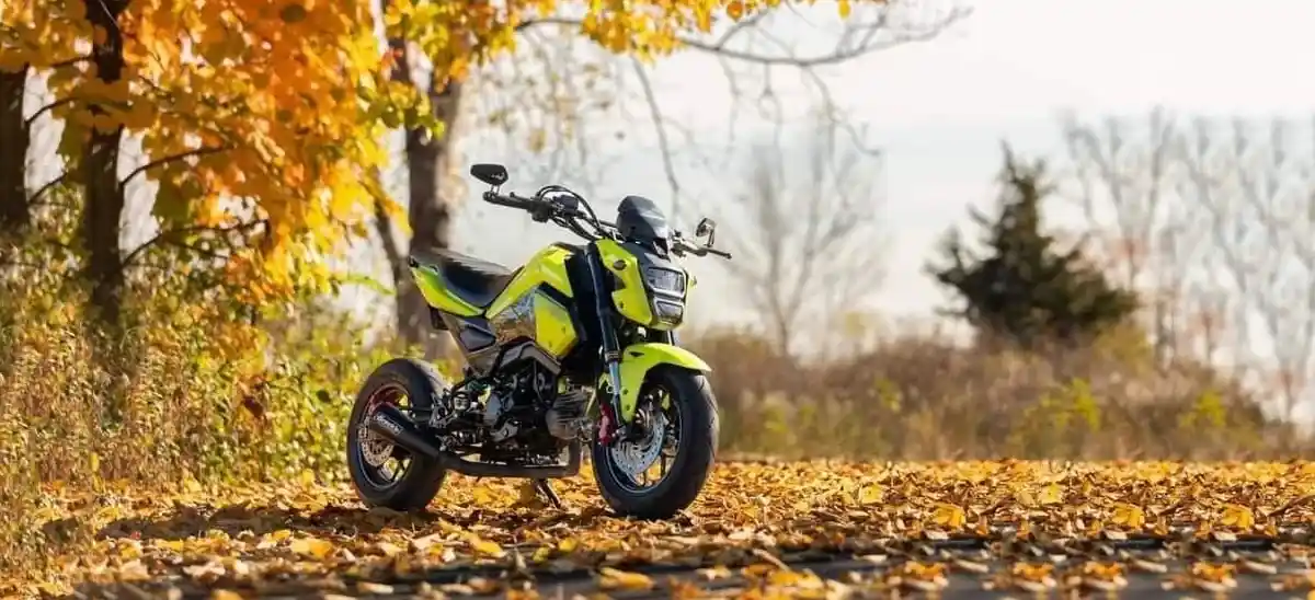 do-you-need-a-motorcycle-license-for-a-honda-grom-wheelingaway