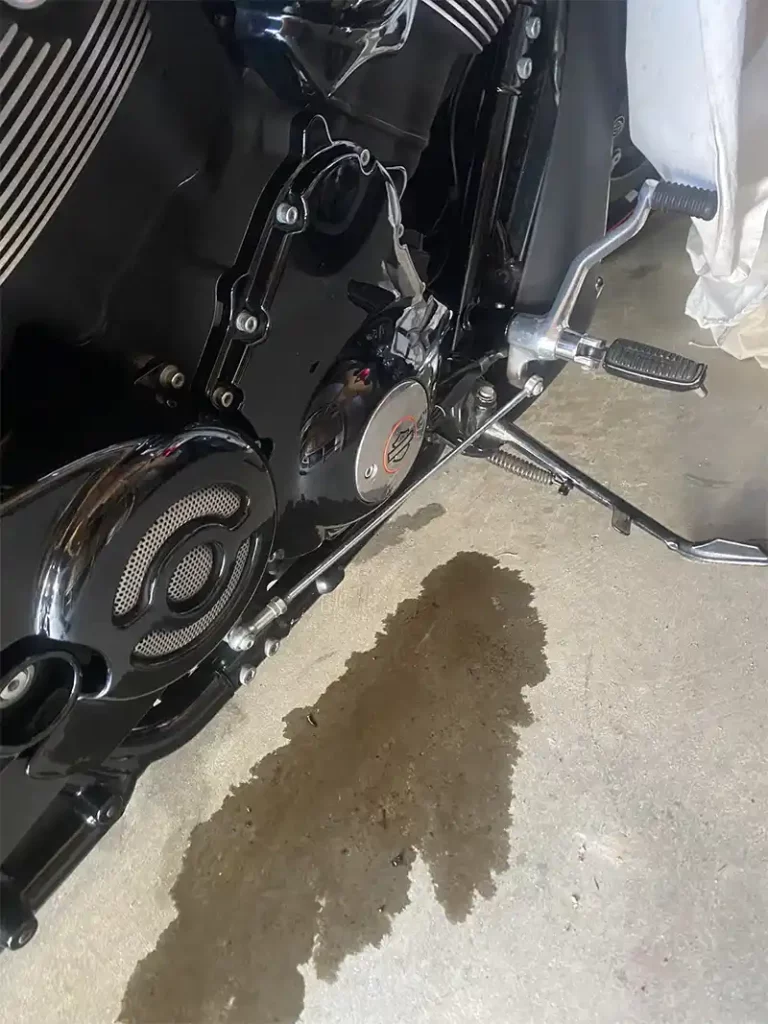 Harley Oil leaking