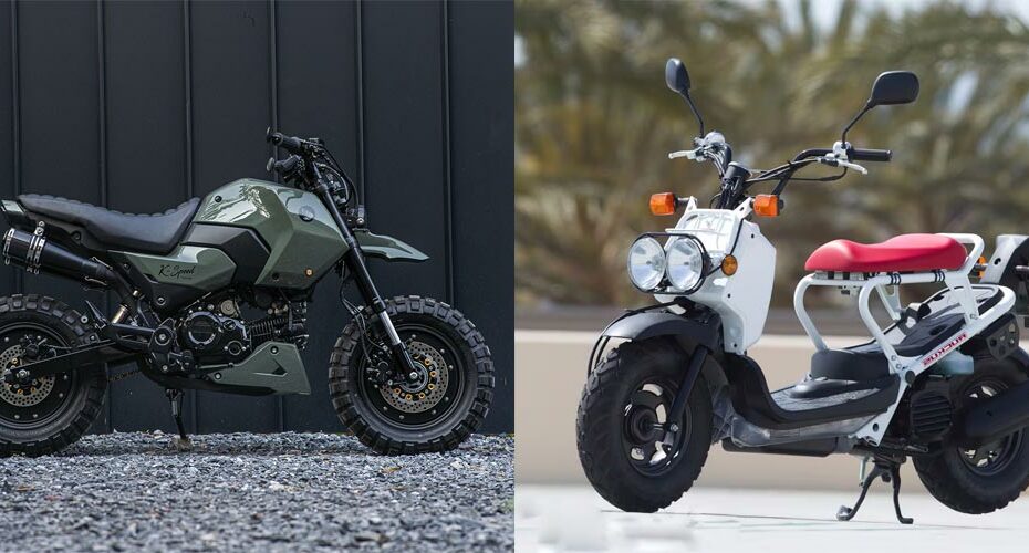 Honda Grom vs Honda Ruckus