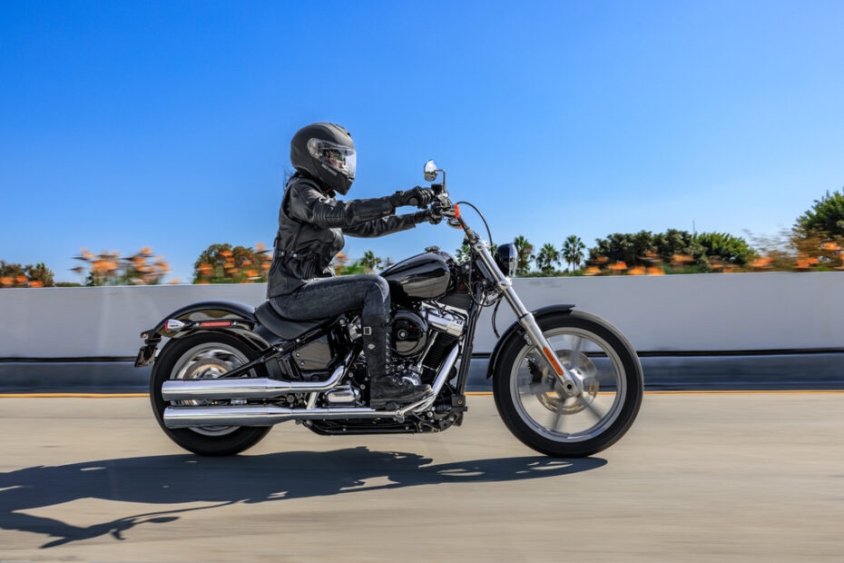 2022 Harley Davidson Softail Standard [Specs, Features, Photos] | wBW