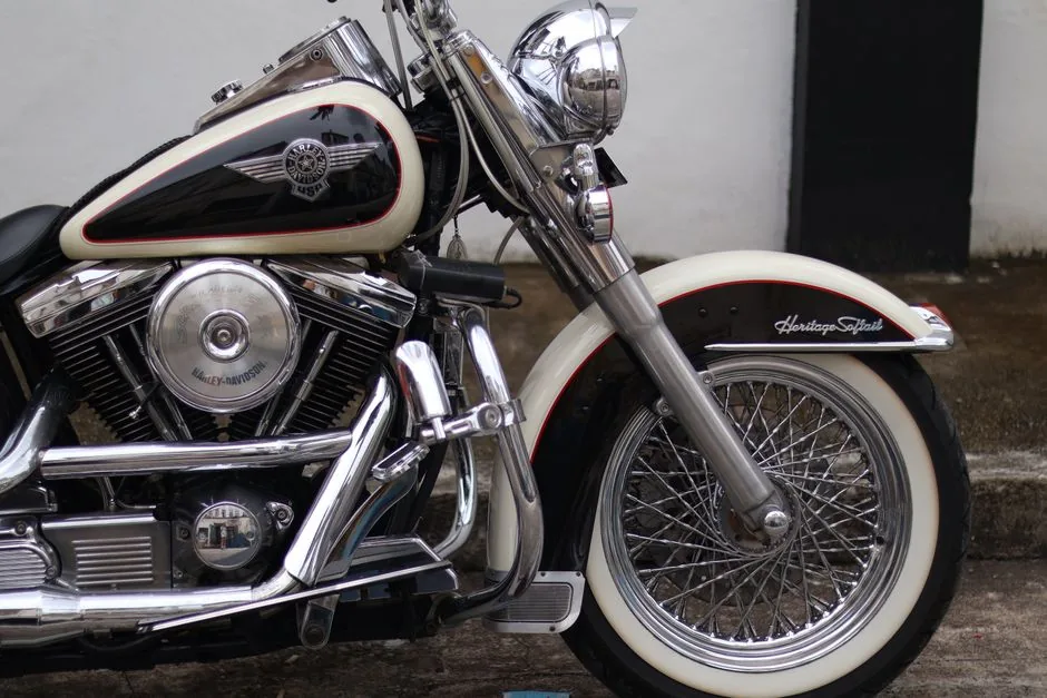 harley davidson softail on road